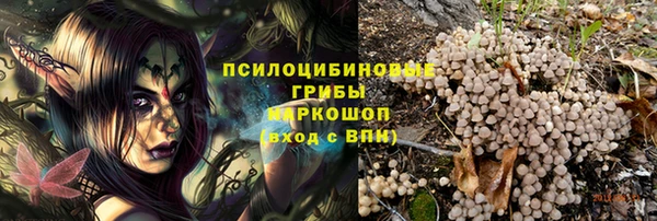 MESCALINE Аркадак